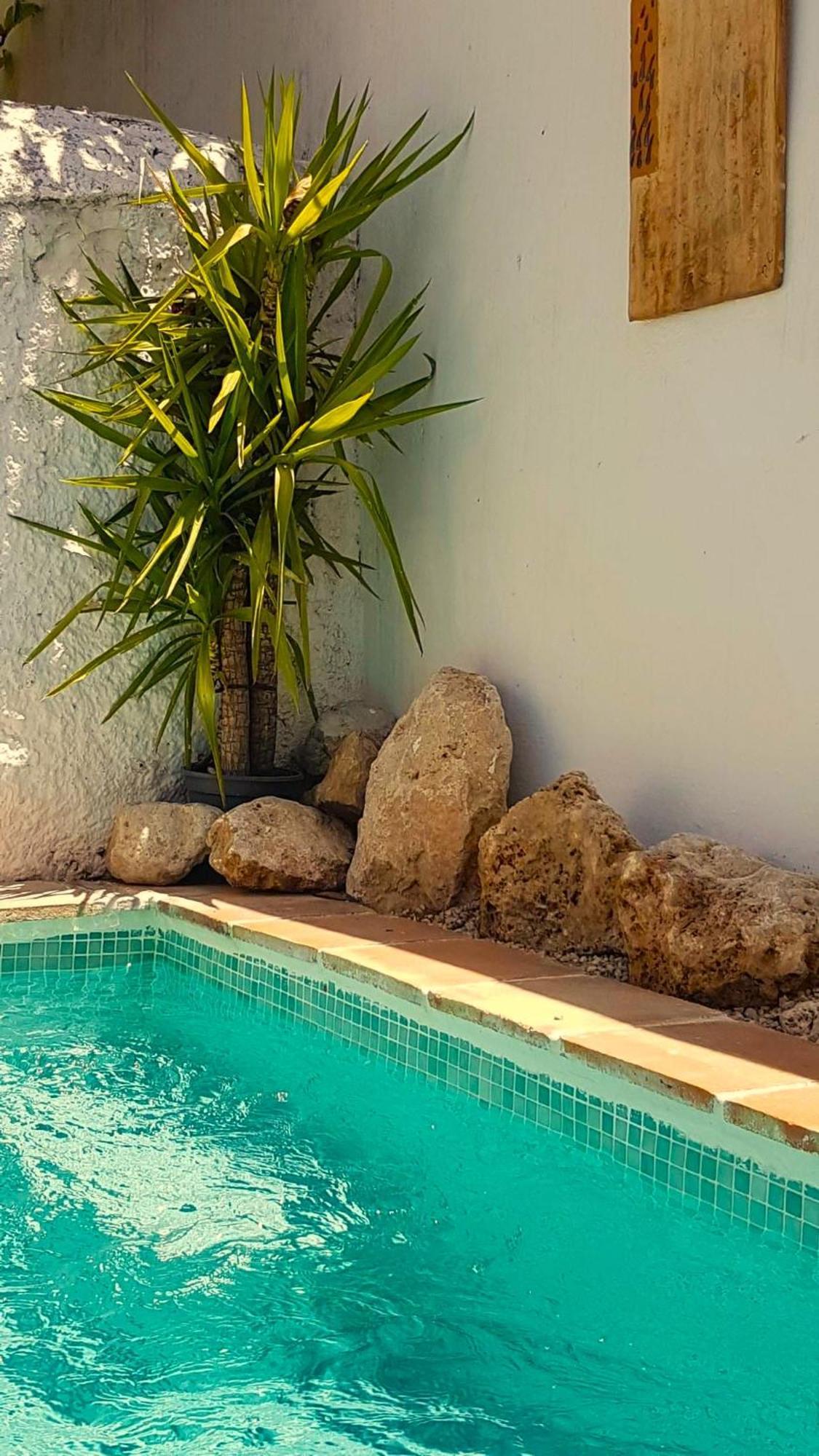 Casa Shyshka Country Cottage Periana Exterior photo